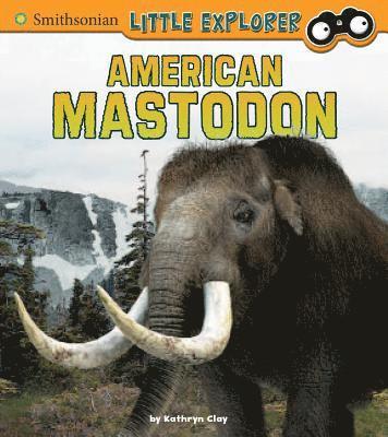 Kathryn Clay - American Mastodon, Inbunden