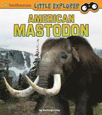 bokomslag Little Paleontologist American Mastodon