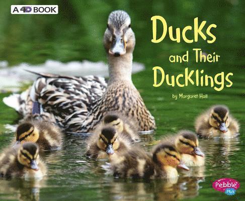 Ducks and Their Ducklings: A 4D Book 1