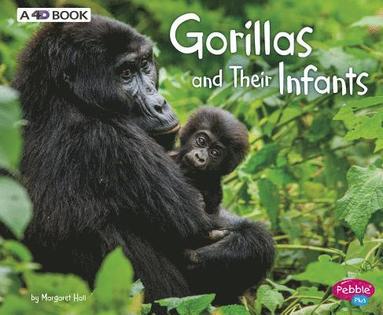 bokomslag Gorillas and Their Infants: A 4D Book