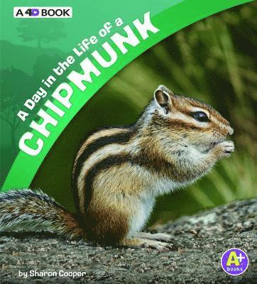 Sharon Katz Cooper - A Day in the Life of a Chipmunk: A 4D Book, Inbunden
