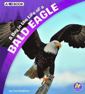 Lisa J. Amstutz - A Day in the Life of a Bald Eagle: A 4D Book, Inbunden