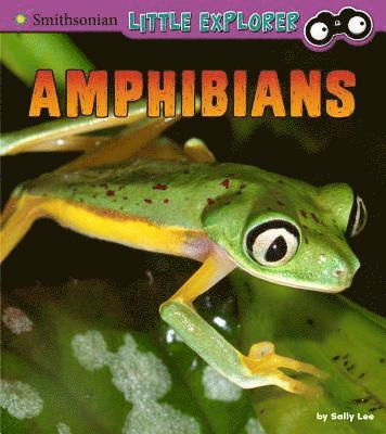 Sally Lee - Amphibians: A 4D Book, Inbunden