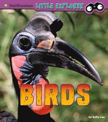 Sally Lee - Birds: A 4D Book, Inbunden