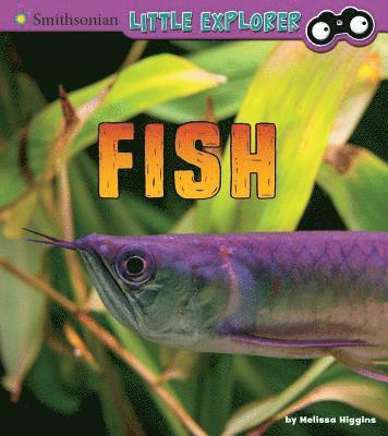 Melissa Higgins - Fish: A 4D Book, Inbunden
