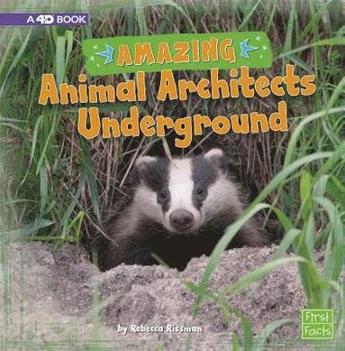 Rebecca Rissman - Amazing Animal Architects Underground: A 4D Book, Inbunden