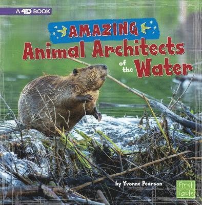 Yvonne Pearson - Amazing Animal Architects of the Water: A 4D Book, Inbunden