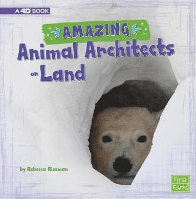 Rebecca Rissman - Amazing Animal Architects on Land: A 4D Book, Inbunden