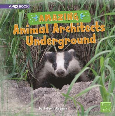 Amazing Animal Architects Underground: A 4D Book