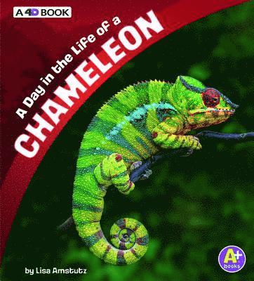 Lisa J. Amstutz - A Day in the Life of a Chameleon: A 4D Book, Inbunden