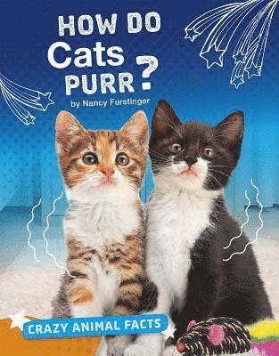 Nancy Furstinger - How Do Cats Purr?, Inbunden