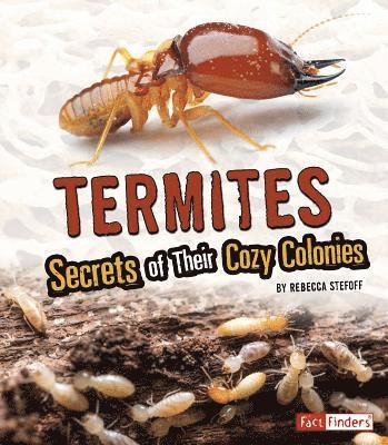 Rebecca Stefoff - Termites: Secrets of Their Cozy Colonies, Inbunden