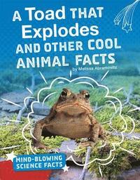 bokomslag A Toad That Explodes and Other Cool Animal Facts