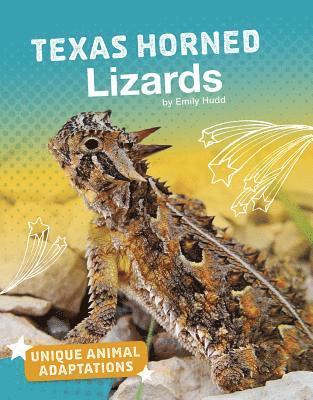 bokomslag Texas Horned Lizards