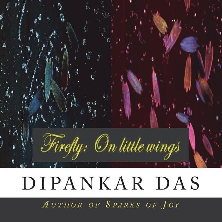 Dipankar Das - Firefly, Häftad