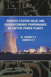 bokomslag Process System Value and Exergoeconomic Performance of Captive Power Plants