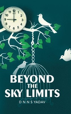 Beyond the Sky Limits 1