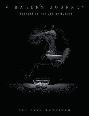 bokomslag Baker's Journey