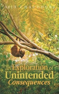 bokomslag Exploration of Unintended Consequences