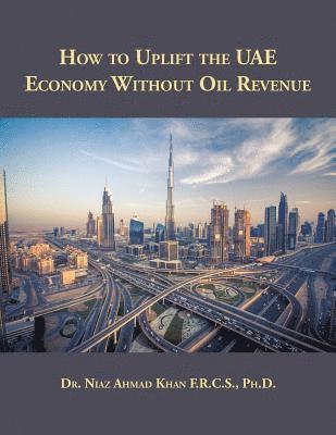 bokomslag How to Uplift the UAE Economy Without Oil Revenue