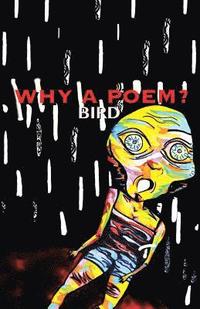 bokomslag Why a Poem?