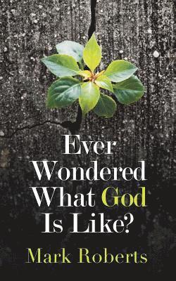 Mark Roberts - Ever Wondered What God Is Like?, Häftad