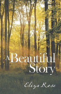 bokomslag Beautiful Story