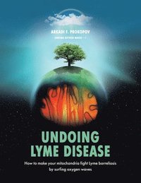 bokomslag Undoing Lyme Disease
