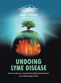 bokomslag Undoing Lyme Disease