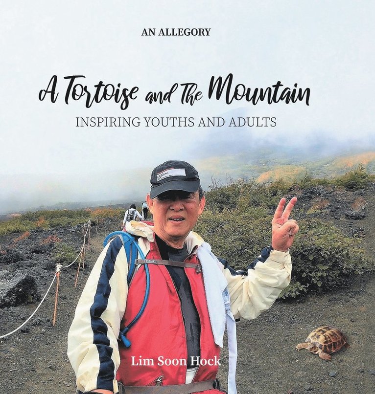 Tortoise and the Mountain