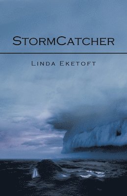 bokomslag Stormcatcher