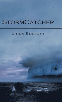 bokomslag Stormcatcher