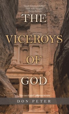 bokomslag The Viceroys of God