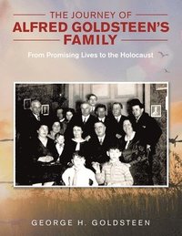 bokomslag The Journey of Alfred Goldsteen's Family