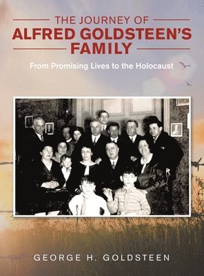 bokomslag The Journey of Alfred Goldsteen's Family