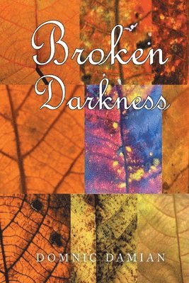 Broken Darkness 1