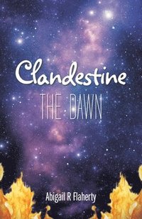 bokomslag Clandestine