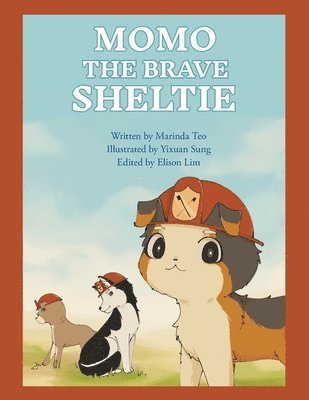 Momo the Brave Sheltie 1