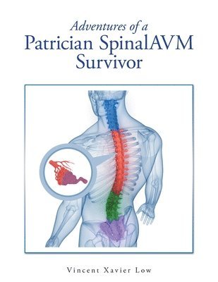 Adventures of a Patrician SpinalAVM Survivor 1