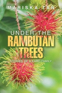 bokomslag Under the Rambutan Trees
