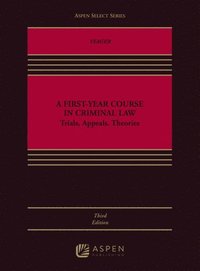 bokomslag A First-Year Course in Criminal Law: Trials, Appeals, Theories
