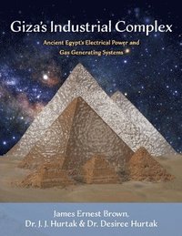 bokomslag Giza's Industrial Complex