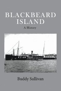 bokomslag Blackbeard Island