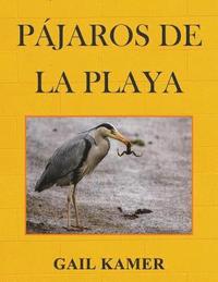 bokomslag Pajaros de la Playa