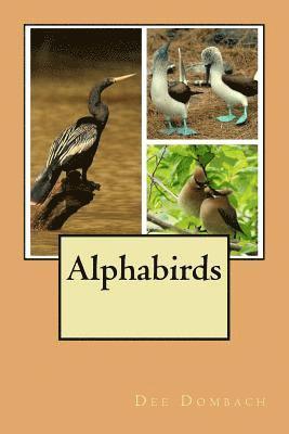bokomslag Alphabirds