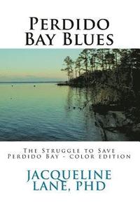 bokomslag Perdido Bay Blues: The Struggle to Save Perdido Bay