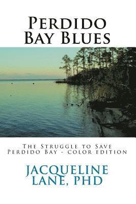 bokomslag Perdido Bay Blues: The Struggle to Save Perdido Bay