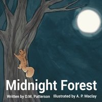 bokomslag Midnight Forest