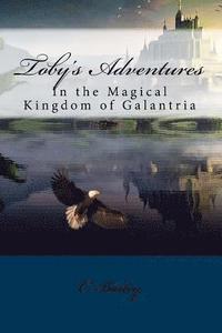 bokomslag Toby's Adventures: In the Magical Kingdom of Galantria