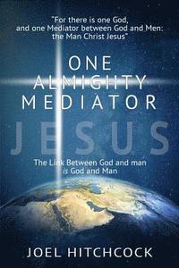 bokomslag One Almighty Mediator - Jesus: The Link between God and man is God and Man